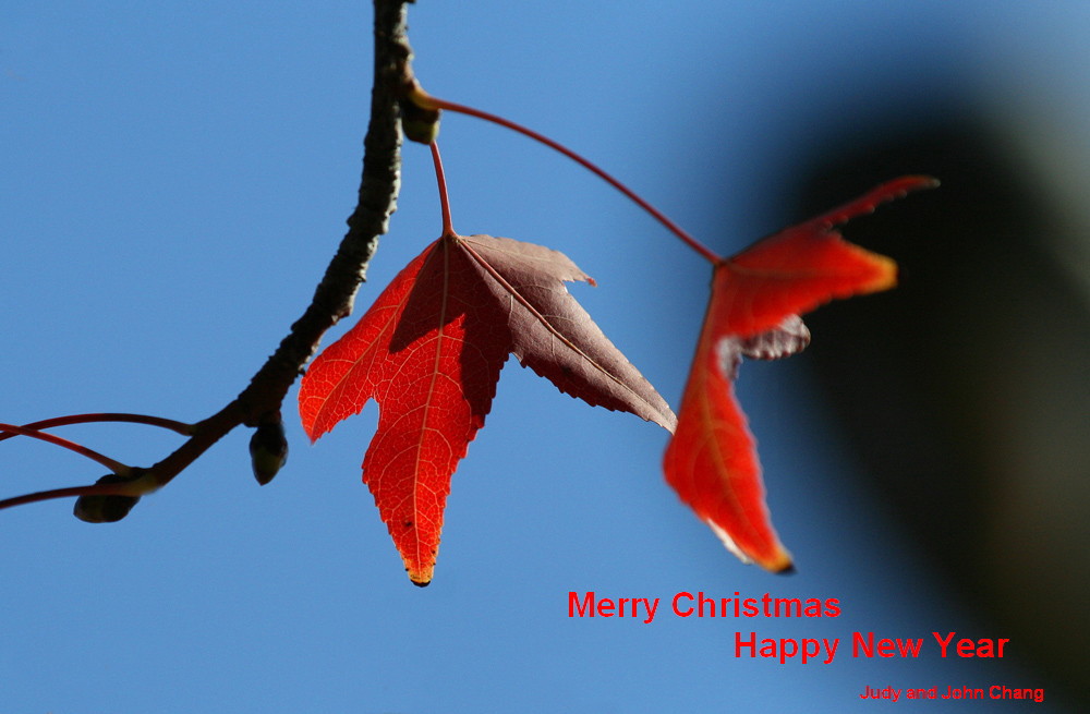 Copy (1) of Copy (1) of Copy (1) of IMG_5110.JPG