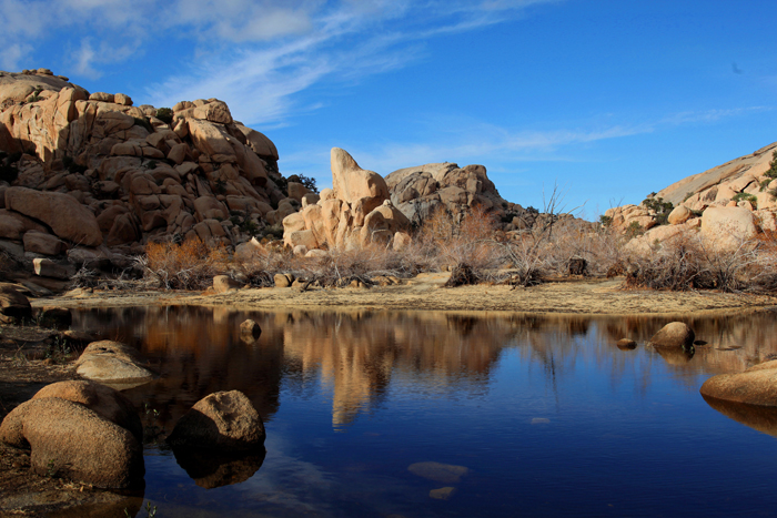 Copy (1) of Copy (1) of IMG_0458.JPG