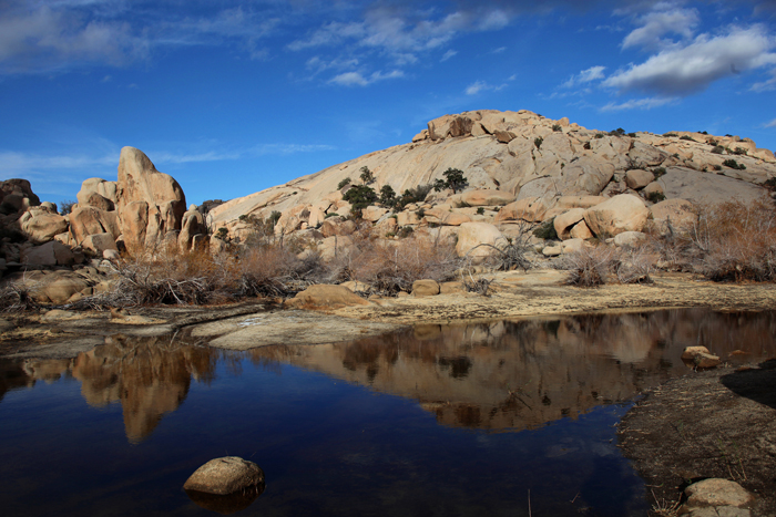 Copy (1) of Copy (1) of IMG_0463.JPG