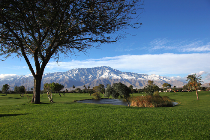 Copy (1) of Copy (1) of IMG_0298.JPG