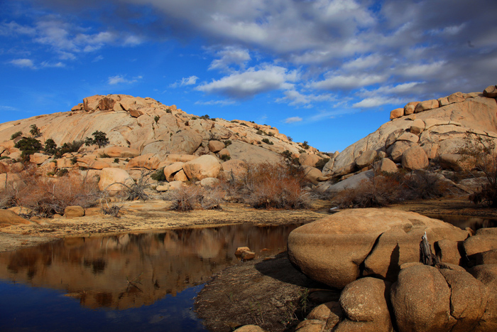 Copy (1) of Copy (1) of IMG_0465.JPG