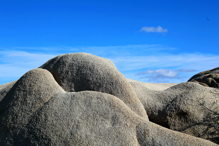 Copy (1) of Copy (1) of IMG_0415.JPG