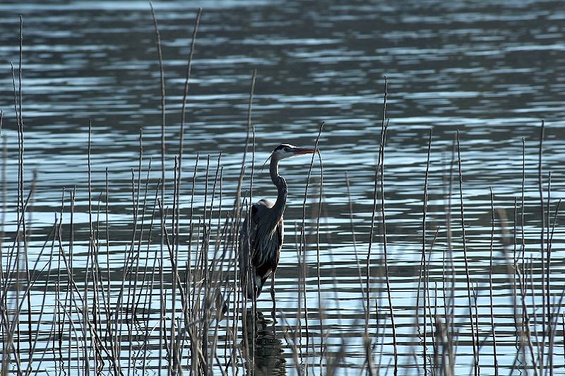 Custom Name  008.jpg