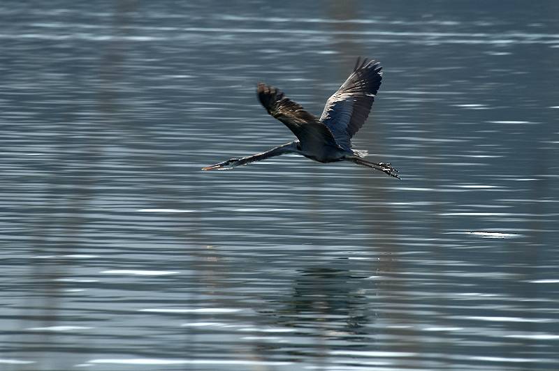 Custom Name  007.jpg