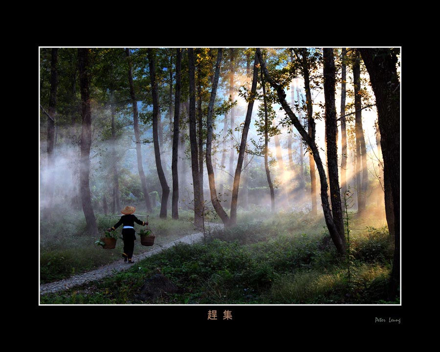 Peter Leung C copy.jpg