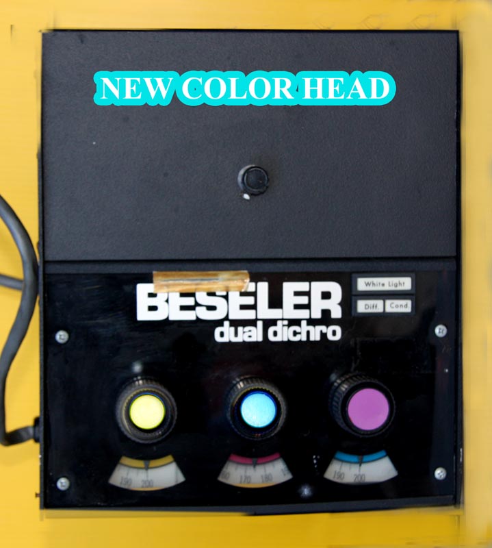 NEW COLOR HEAD.jpg