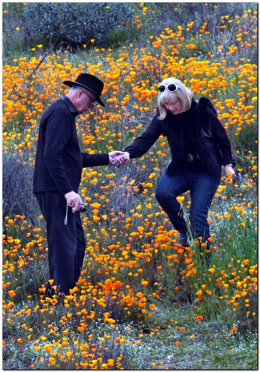 IMG_8857 [1024x768].JPG