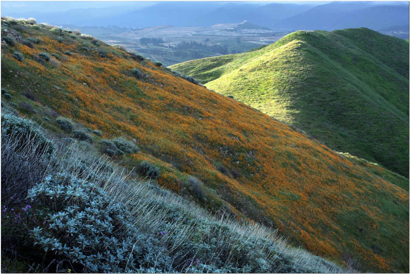 IMG_8596 [Desktop Resolution].JPG