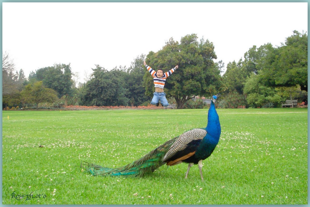 032809 Andy 粉-4.jpg