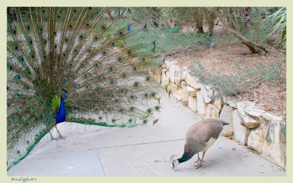 032609 arboretum R-5.jpg