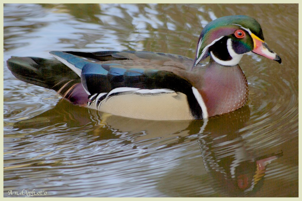 031609 Arboretum R-1.jpg