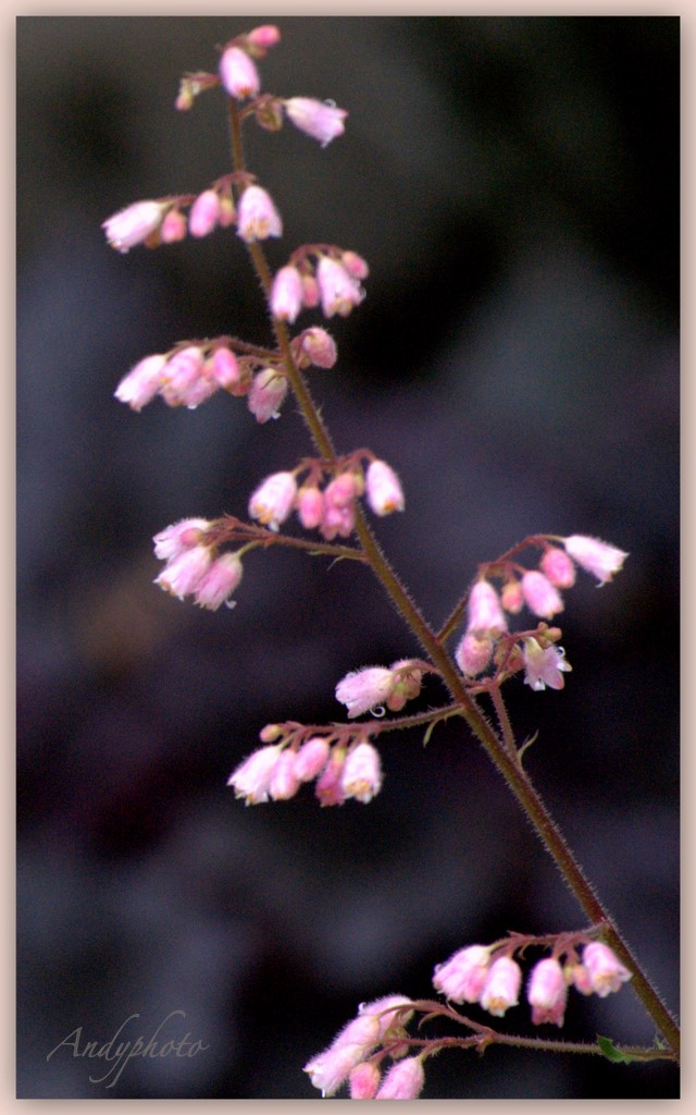 041109 Arboretum Andy12.jpg