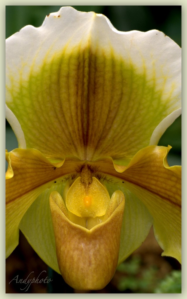 041109 Arboretum Andy14.jpg