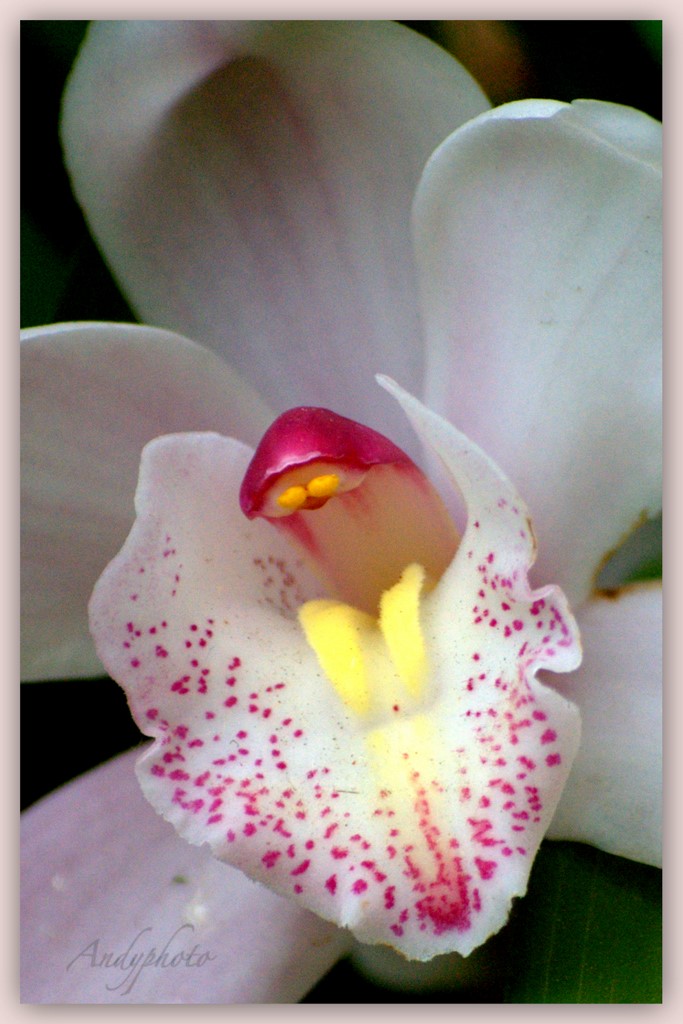 041109 Arboretum Andy27.jpg