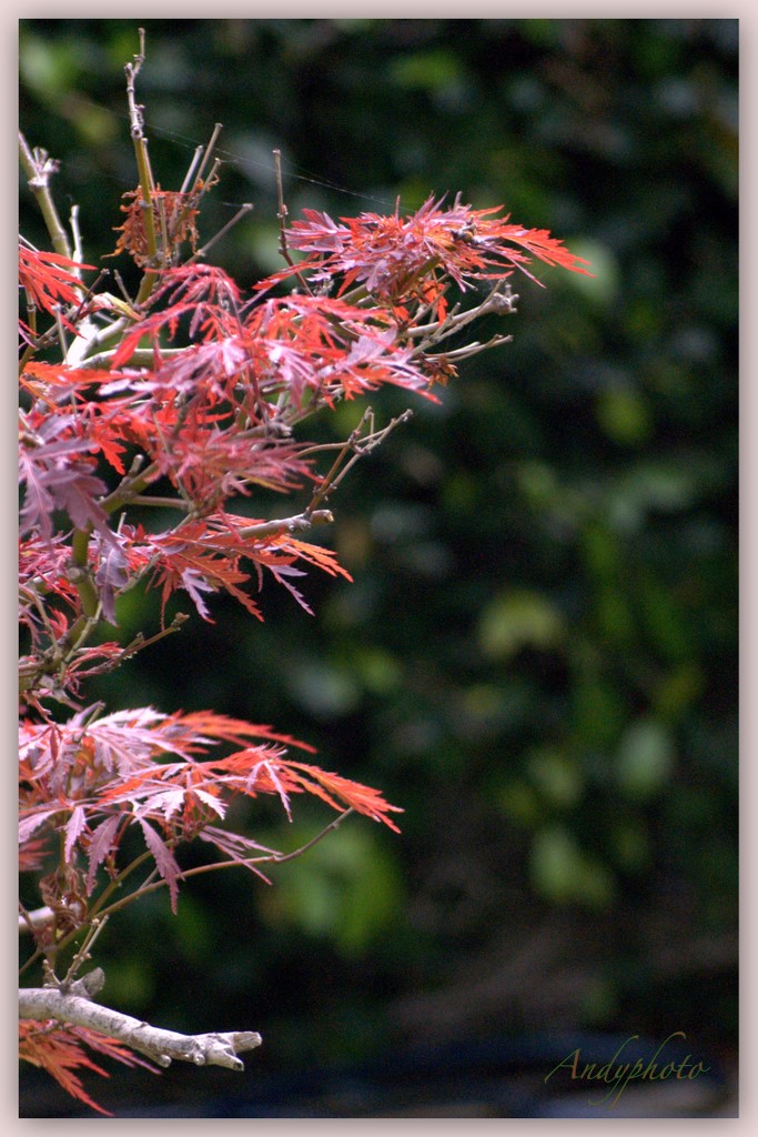 041109 Arboretum Andy28.jpg