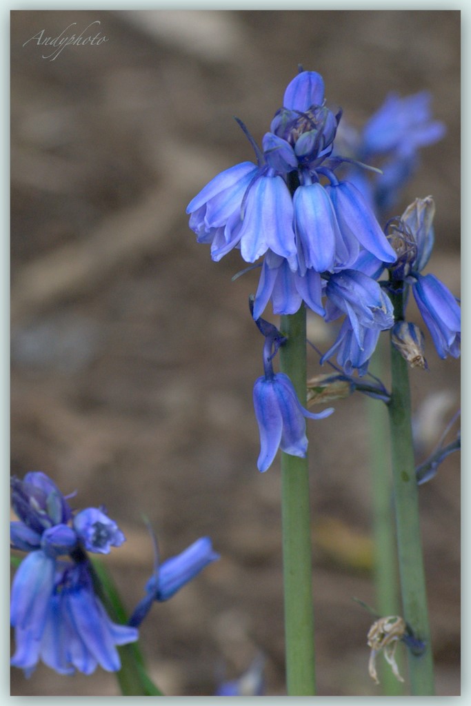 041109 Arboretum Andy35.jpg