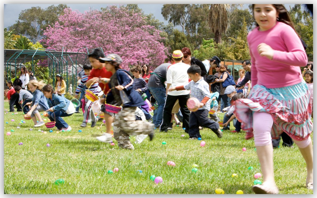 041109 arboretum lisa21-1.jpg