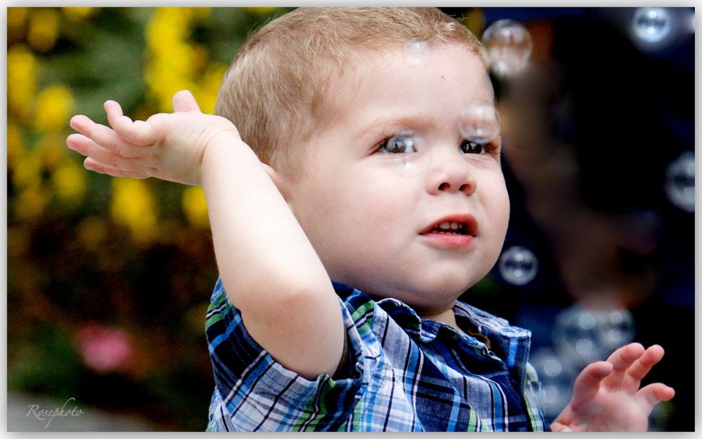 041109 arboretum lisa3-4.jpg