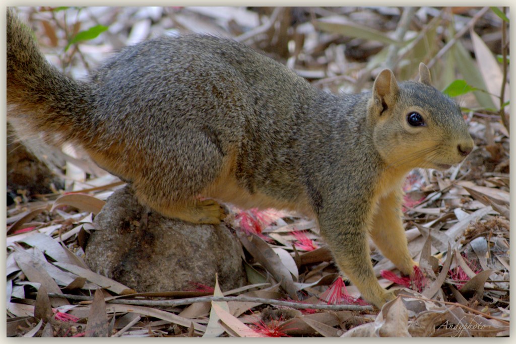 041109 Arboretum Andy15.jpg