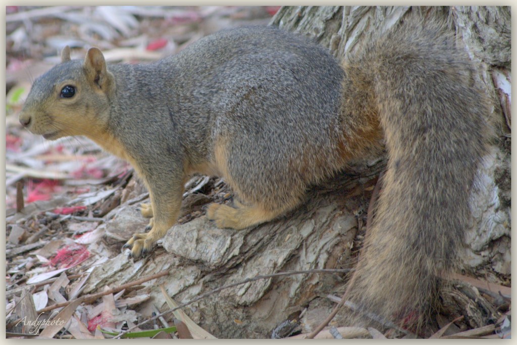 041109 Arboretum Andy16.jpg