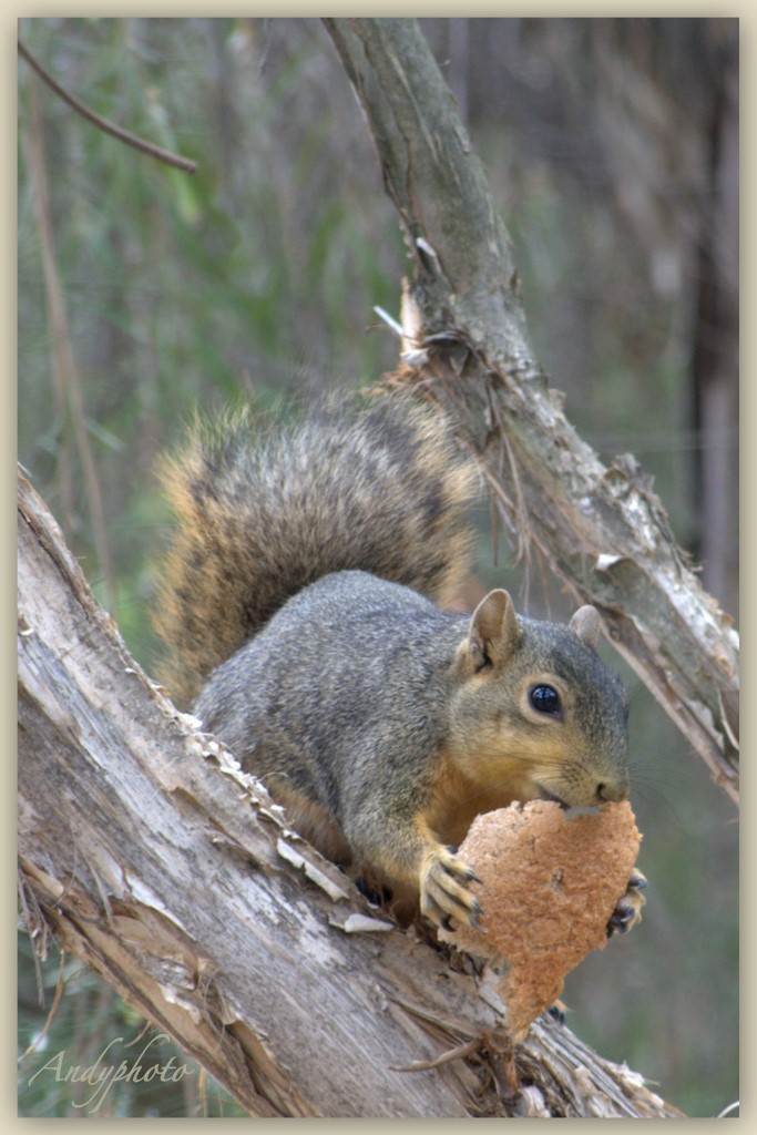 041109 Arboretum Andy17.jpg