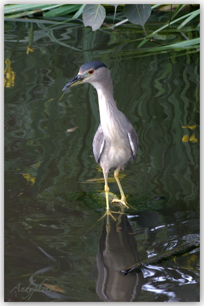 041109 Arboretum Andy21.jpg