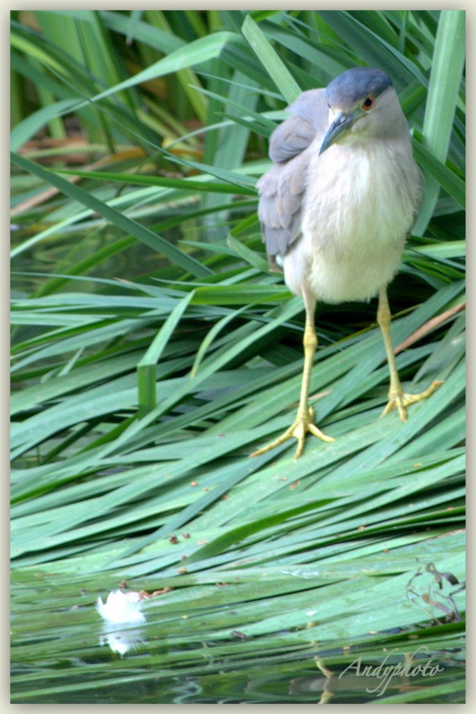 041109 Arboretum Andy19.jpg