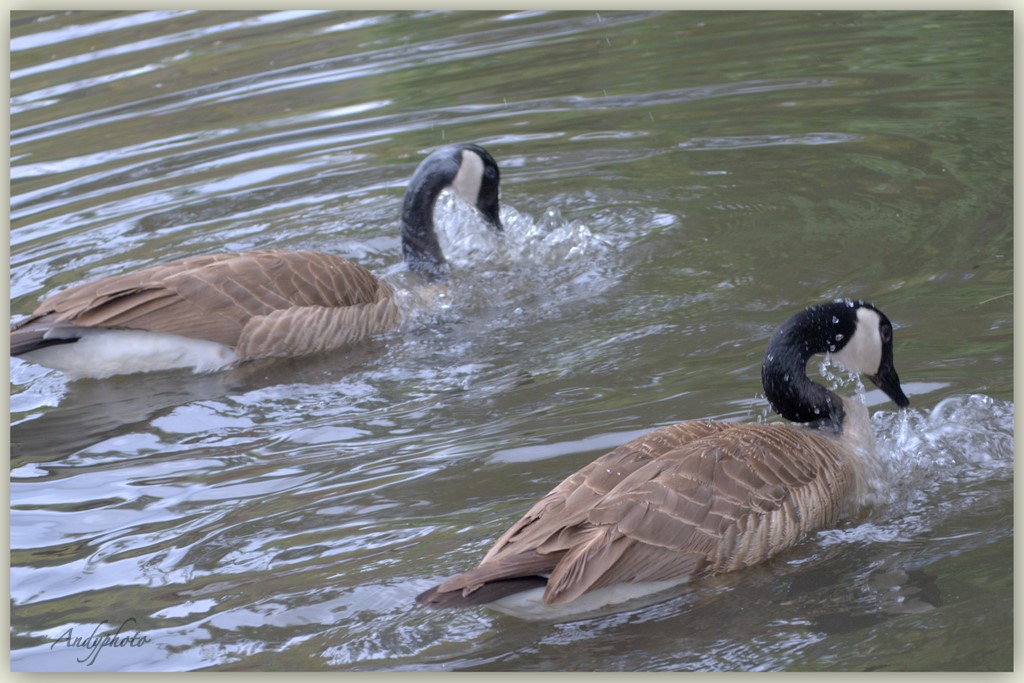 041109 Arboretum Andy22.jpg