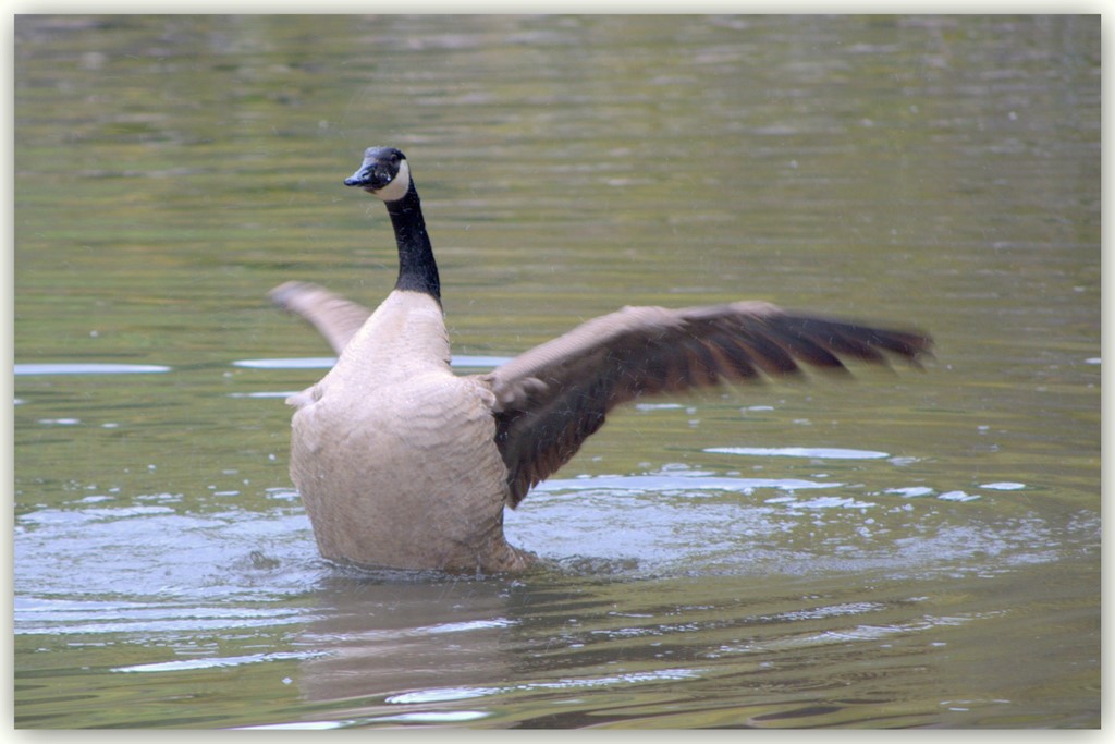 041109 Arboretum Andy25.jpg