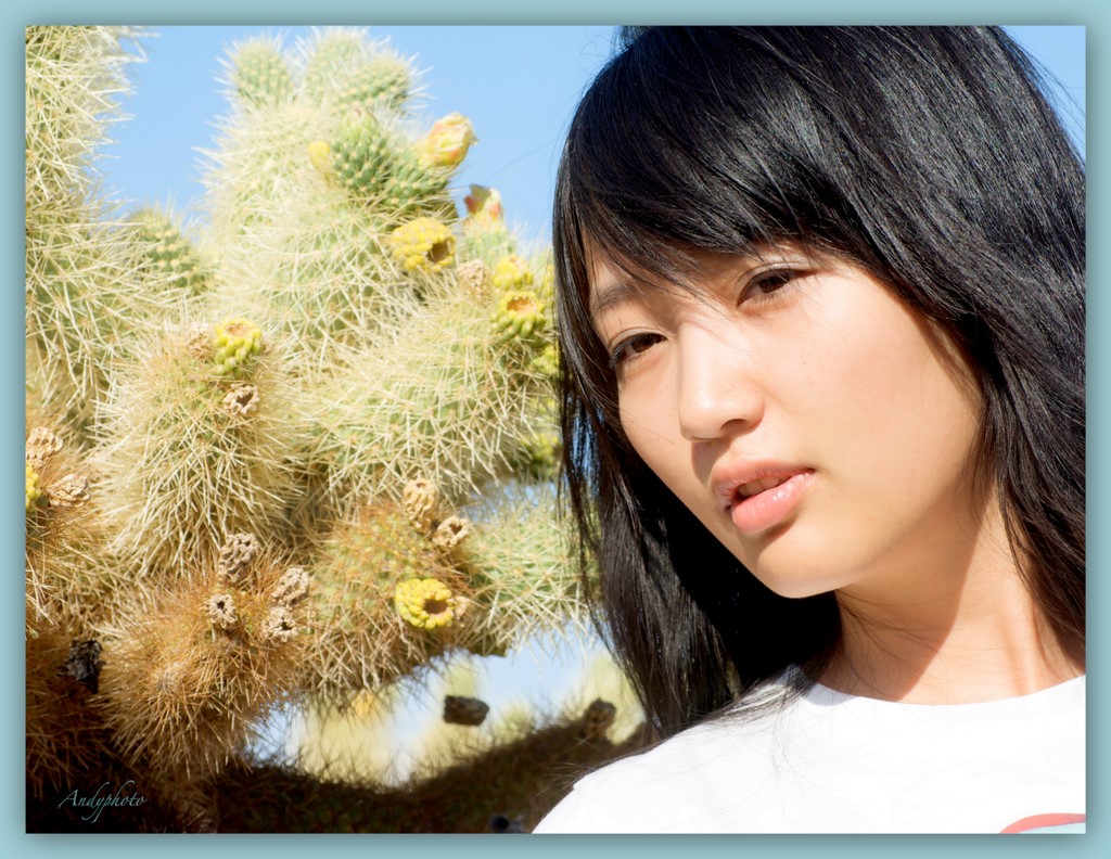 042509Andy－Joshua Tree2.jpg