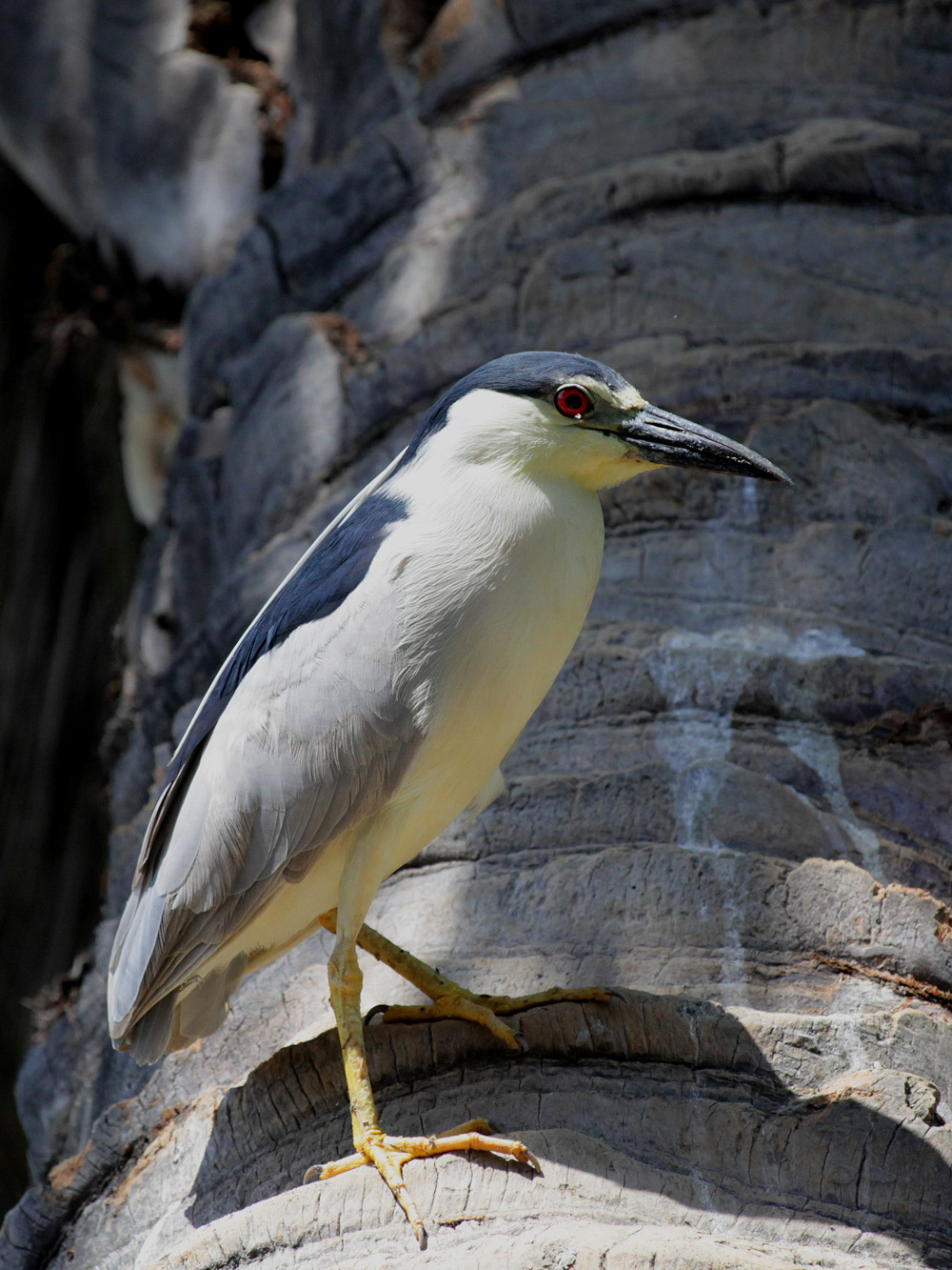 Copy (1) of IMG_7427.JPG