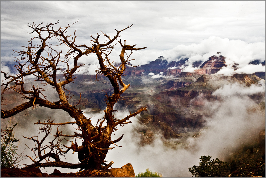 Grand Canyon, Picture 9252_edited-1.jpg