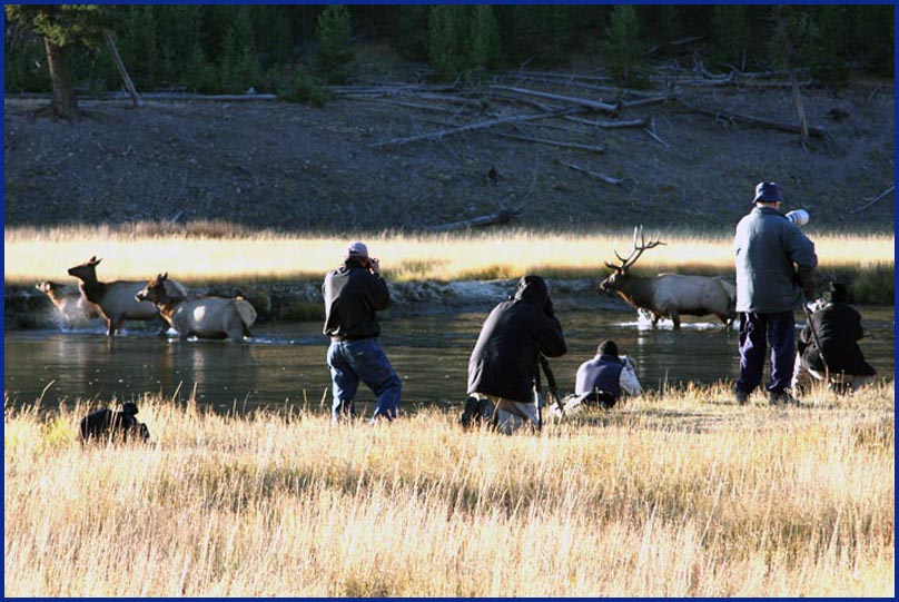 0021 yellowstone 126.jpg