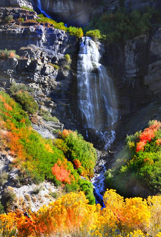 yellowstone 7.jpg