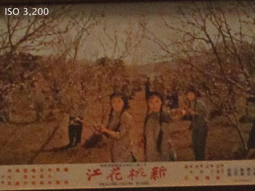 iso3200_sc.jpg