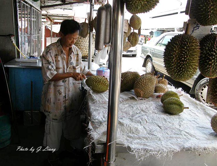 P6150028 (Medium).JPG