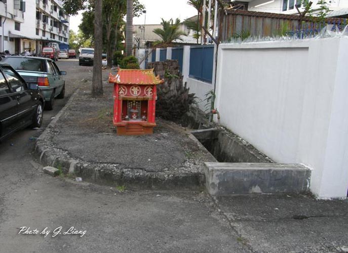 P6150082 (Medium).JPG