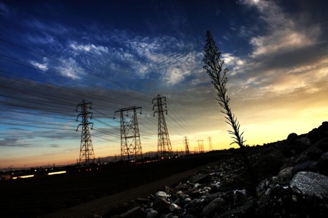 孤独稻草 copy.jpg