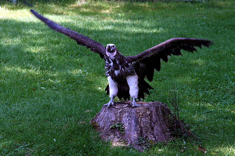 09-26-09 106.jpga.jpg