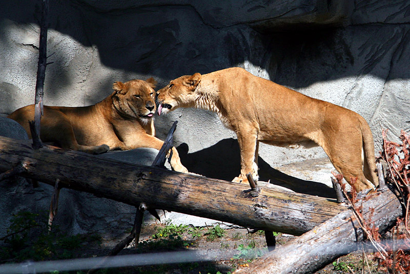 09-26-09 159.jpga.jpg