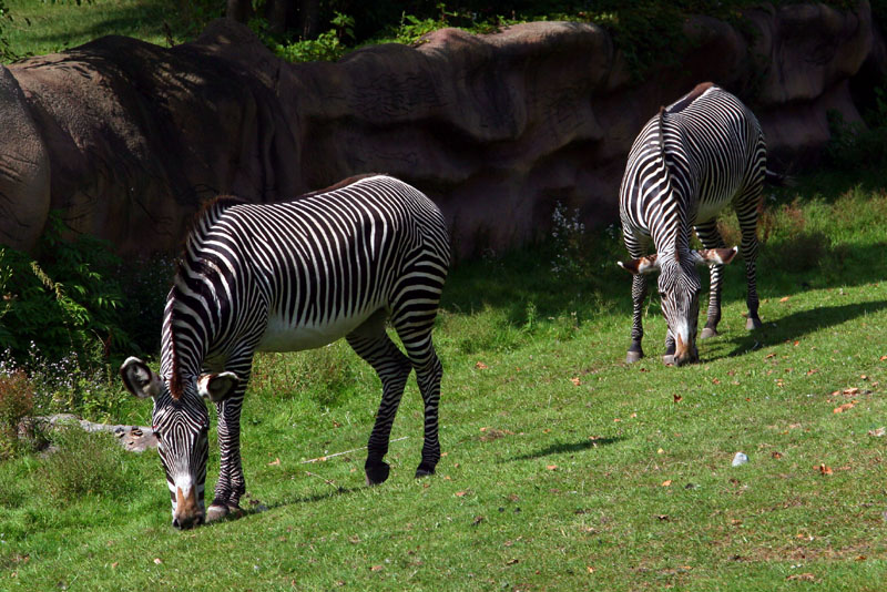 09-26-09 177.jpga.jpg