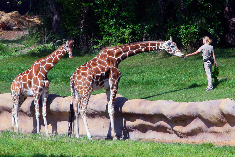 09-26-09 190.jpga.jpg