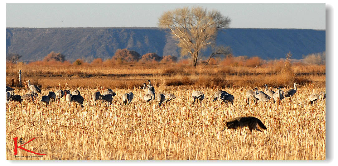 D20_6839 1084x533.jpg