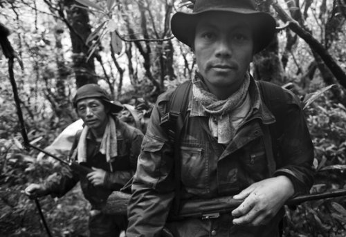 茂密的树林很难寻找猎物,有时只能守株待兔 4.jpg