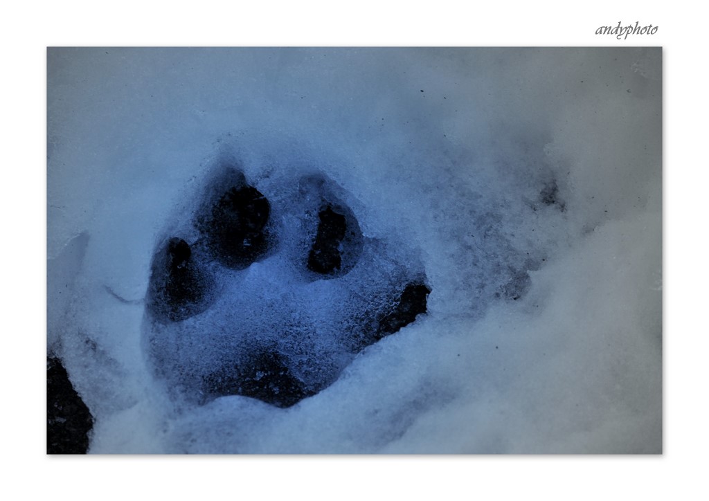 11-27-09 washington andy1.jpg