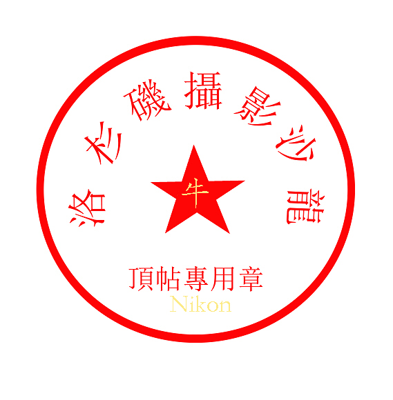 顶贴专用-Nikon.jpg
