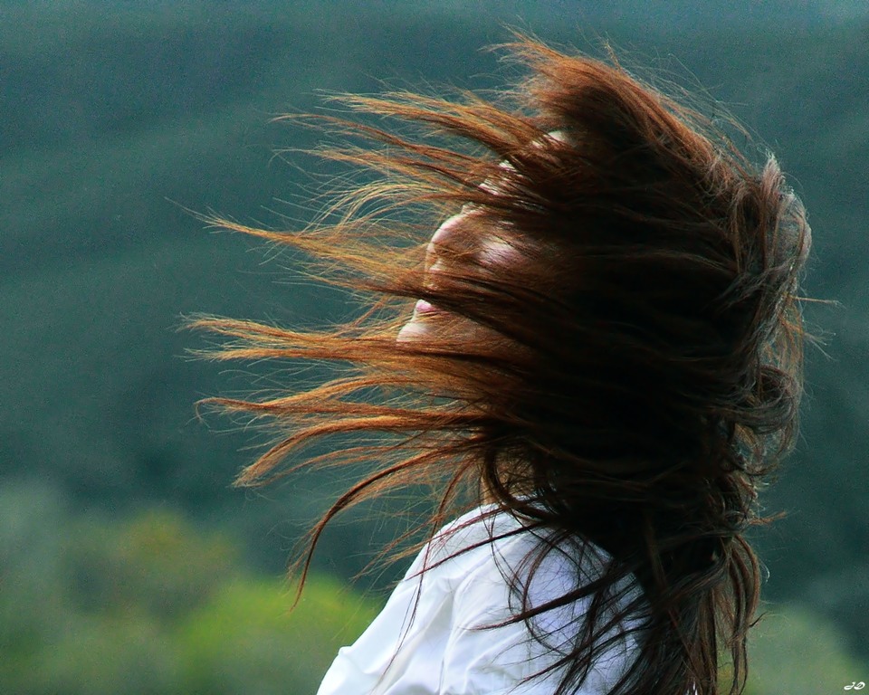2010-03-06-Borrego Springs 035p.jpg