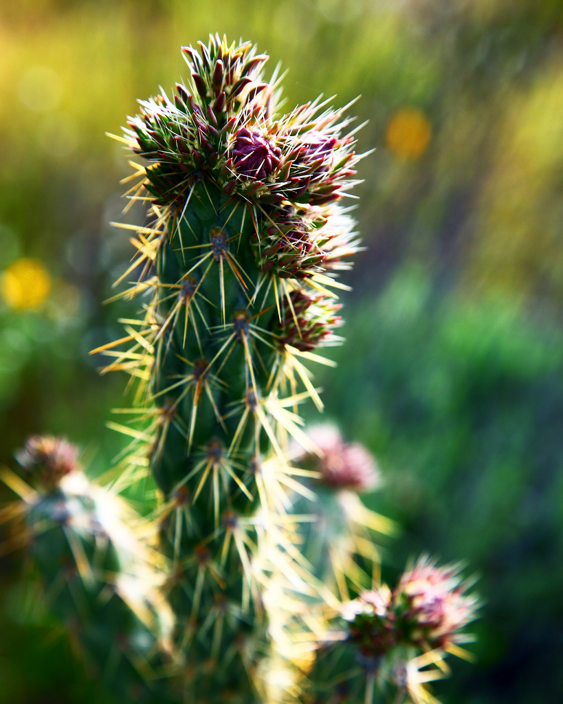 2010-03-21-Lake Street (W Flowers) 131la.jpg
