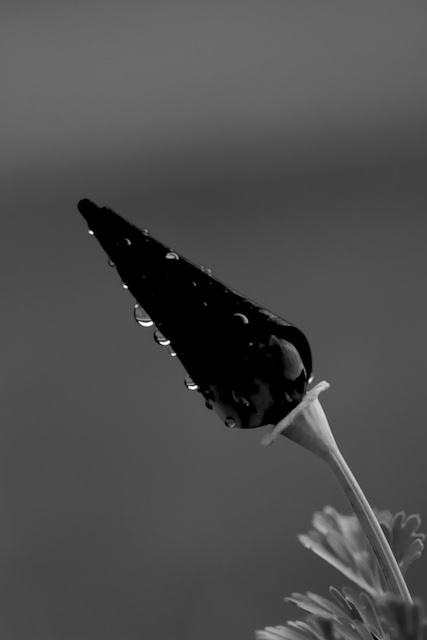 _DSC4197 - Version 2.jpg