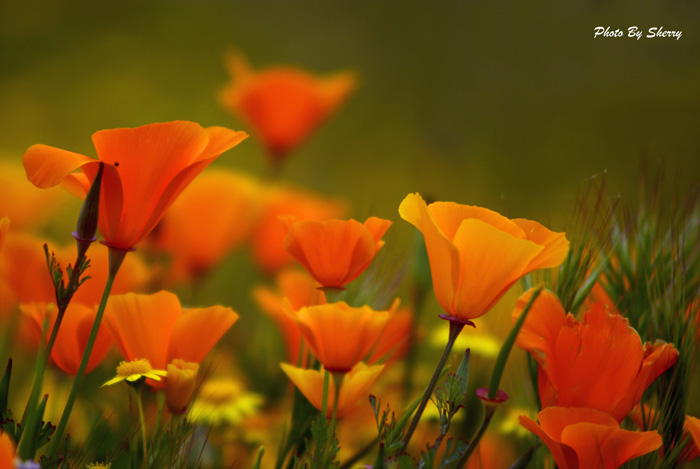 photo class 3-22-10 051AA.jpg